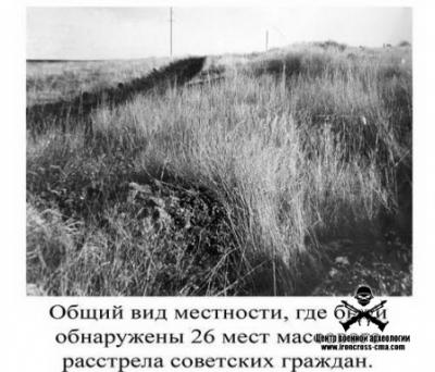 Прикрепленное изображение: Дубки 01.jpeg